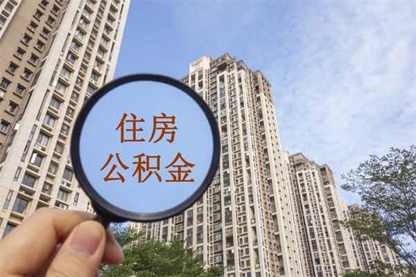 攀枝花离职后公司不给转公积金怎么办（离职后公司不给转社保怎么办）
